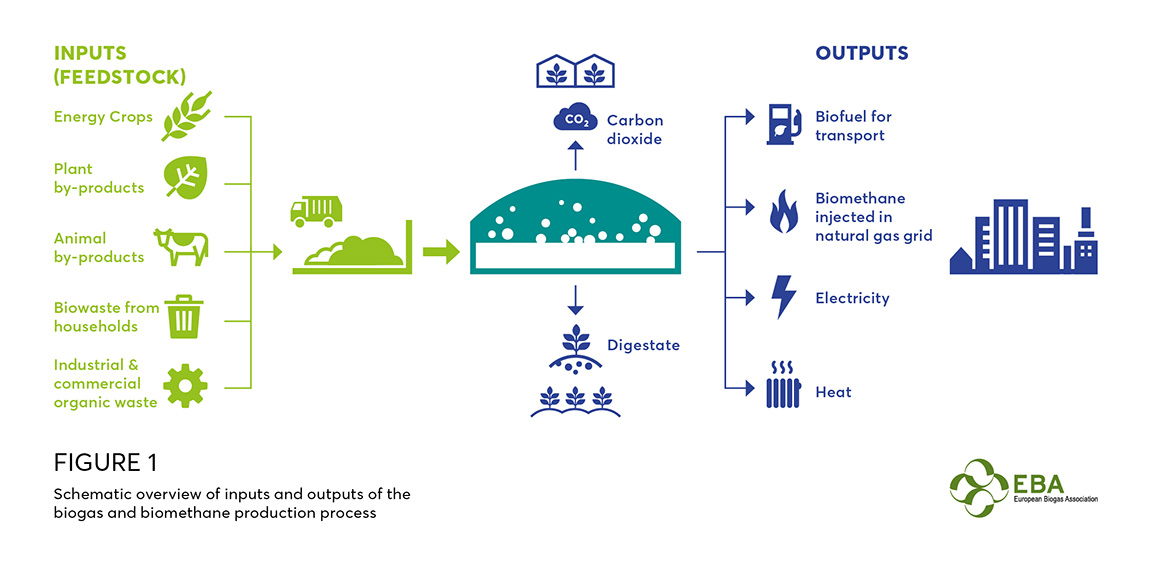 “We can’t think electricity will solve everything” – why we need biogas