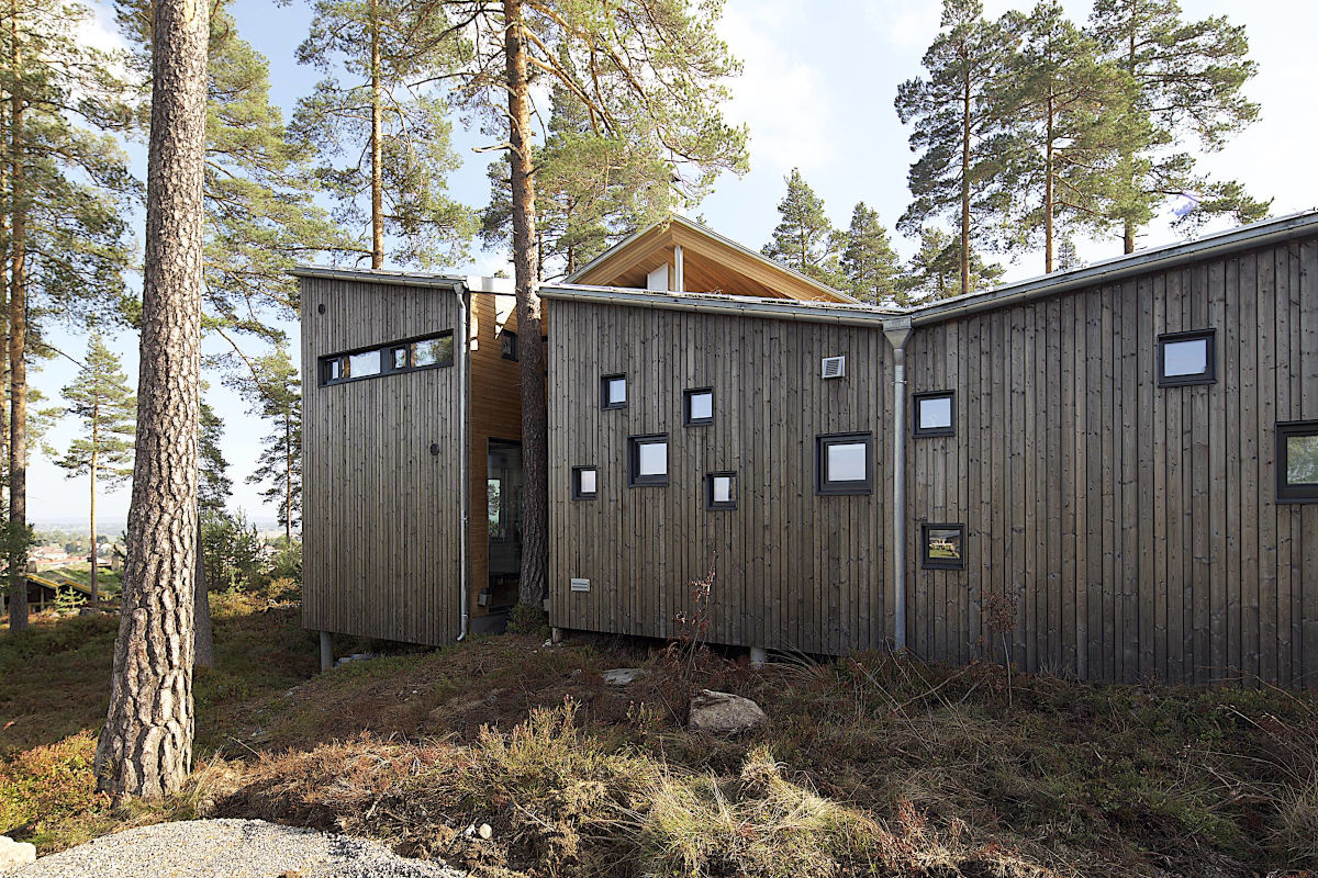 Vindveggen Architects: The importance of trees