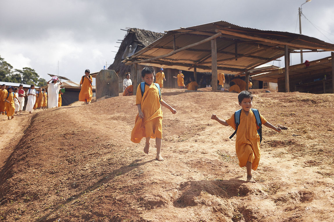 The eco-coffee that preserves native forest and improves the lives of indigenous people