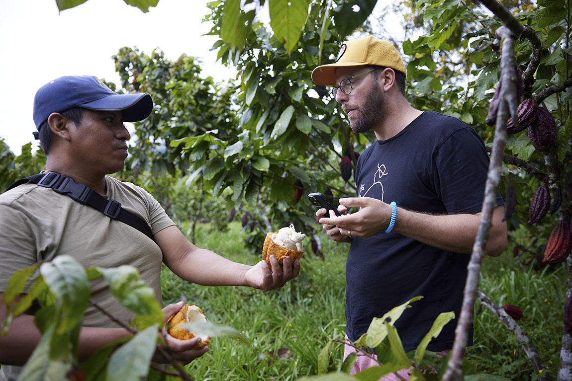 The eco-coffee that preserves native forest and improves the lives of indigenous people
