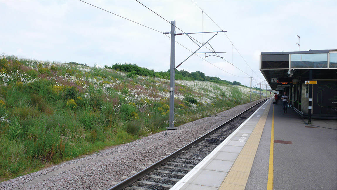 Locking in carbon along rail tracks throughout Europe