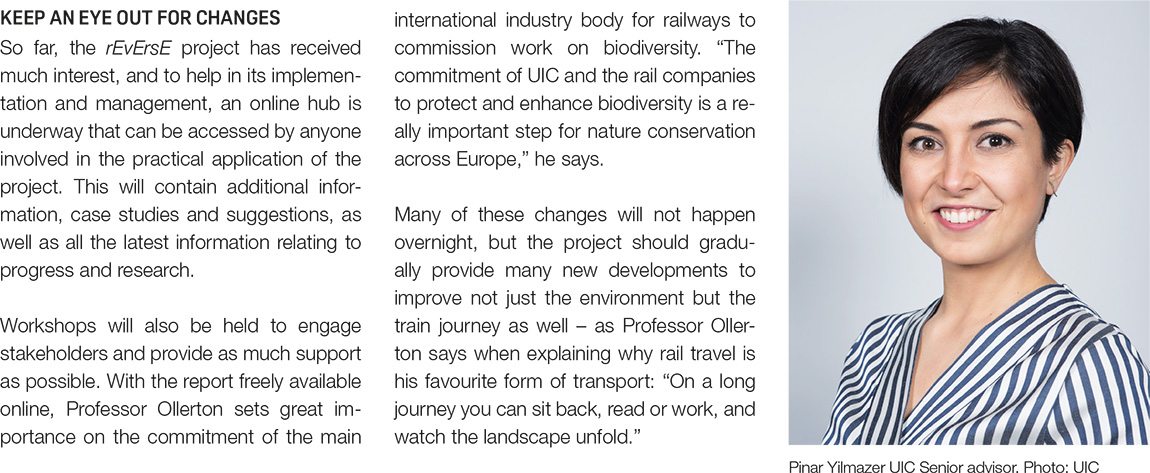KEEP AN EYE OUT FOR CHANGES So far, the rEvErsE project has received much interest, and to help in its implementation and management, an online hub is underway that can be accessed by anyone involved in the practical application of the project. This will contain additional information, case studies and suggestions, as well as all the latest information relating to progress and research. Workshops will also be held to engage stakeholders and provide as much support as possible. With the report freely available online, Professor Ollerton sets great importance on the commitment of the main international industry body for railways to commission work on biodiversity. “The commitment of UIC and the rail companies to protect and enhance biodiversity is a really important step for nature conservation across Europe,” he says. Many of these changes will not happen overnight, but the project should gradually provide many new developments to improve not just the environment but the train journey as well – as Professor Ollerton says when explaining why rail travel is his favourite form of transport: “On a long journey you can sit back, read or work, and watch the landscape unfold.”