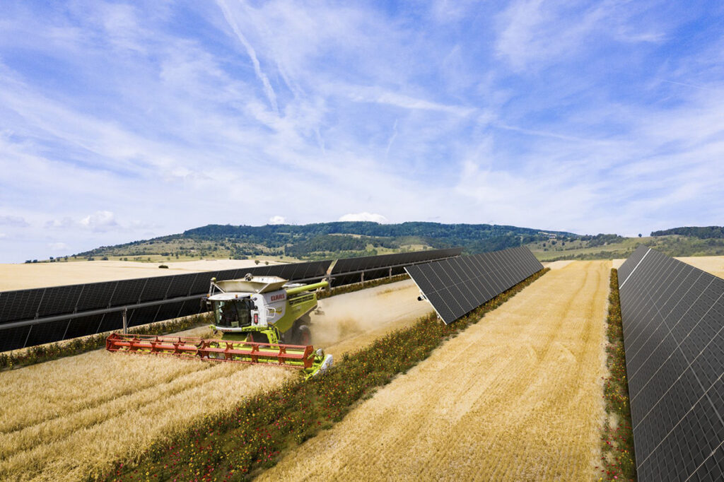 Firms sign Europe’s first agri-PV power-purchase agreement